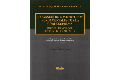 EXPANSIÓN DE LOS DERECHOS FUNDAMENTALES POR LA CORTE SUPREMA - JURISPRUDENCIA DEL RECURSO DE PROTECCIÓN