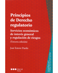 PRINCIPIOS DE DERECHO REGULATORIO (3ª Edición) - SERVICIOS ECONÓMICOS DE INTERÉS GENERAL Y REGULACIÓN DE RIESGOS