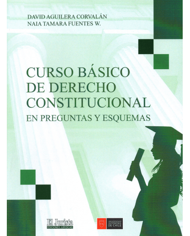 CURSO BÁSICO DE DERECHO CONSTITUCIONAL - EN PREGUNTAS Y ESQUEMAS
