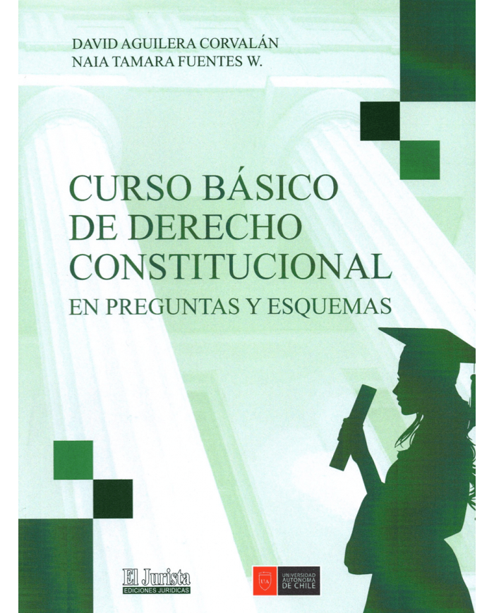 CURSO BÁSICO DE DERECHO CONSTITUCIONAL - EN PREGUNTAS Y ESQUEMAS