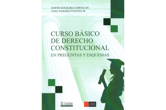CURSO BÁSICO DE DERECHO CONSTITUCIONAL - EN PREGUNTAS Y ESQUEMAS