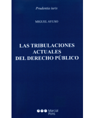 LAS TRIBULACIONES ACTUALES DEL DERECHO PÚBLICO