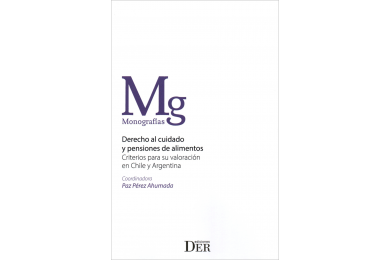 DERECHO AL CUIDADO Y PENSIONES DE ALIMENTOS - CRITERIOS PARA SU VALORACIÓN EN CHILE Y ARGENTINA