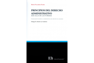 PRINCIPIOS DEL DERECHO ADMINISTRATIVO - MÁS ALLÁ DE LAS FORMAS