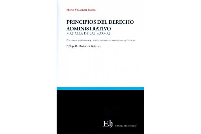 PRINCIPIOS DEL DERECHO ADMINISTRATIVO - MÁS ALLÁ DE LAS FORMAS