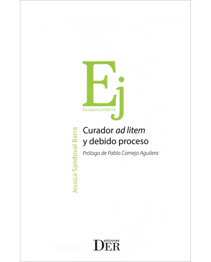 CURADOR AD LITEM Y DEBIDO PROCESO