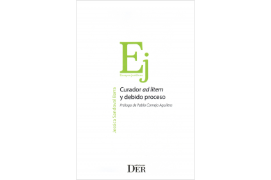 CURADOR AD LITEM Y DEBIDO PROCESO