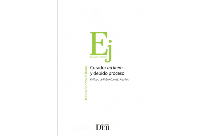CURADOR AD LITEM Y DEBIDO PROCESO