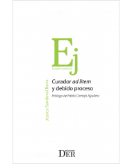 CURADOR AD LITEM Y DEBIDO PROCESO