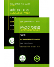 PRÁCTICA FORENSE - JUZGADOS DE FAMILIA - EXPLICACIONES Y FORMULARIOS