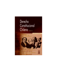 DERECHO CONSTITUCIONAL CHILENO - TOMO IV